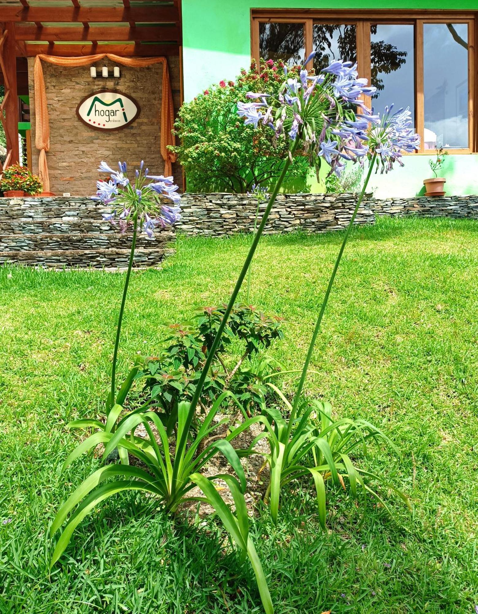 Mi Hogar Jarabacoa Διαμέρισμα Εξωτερικό φωτογραφία