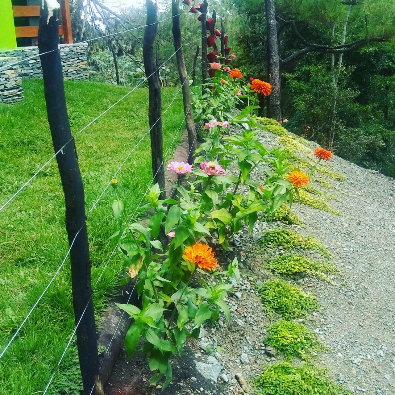 Mi Hogar Jarabacoa Διαμέρισμα Εξωτερικό φωτογραφία