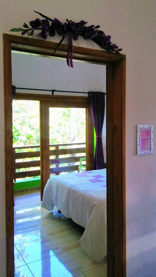 Mi Hogar Jarabacoa Διαμέρισμα Εξωτερικό φωτογραφία